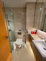 The Oxley (D9), Apartment #573543341
